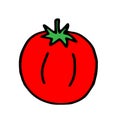 Vector outline illustration of one fresh red tomato isolated on a white background Royalty Free Stock Photo