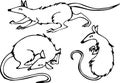 Vector outline illustration set of cartoon rats