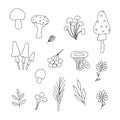 Vector outline illustration of witch dried herbs set for making magic, cooking a potion, simple doodle hand drawn image Royalty Free Stock Photo