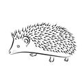 Vector outline isolated hedgehog illustration, sketch, logo. Pet African pygmy.