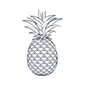 Vector outline pineapple icon