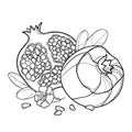 Vector outline Pomegranate half and whole fruit, ornate flower, leaf and seed in black isolated on white background.