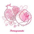 Vector outline Pomegranate half and whole fruit, ornate flower, leaf and seed in pastel pink isolated on white background.