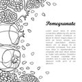 Vector outline Pomegranate half and whole fruit and seed in black isolated on white background. Drawing of ripe Pomegranate bunch.