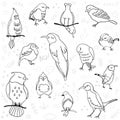 Set of cute little outline birds isolated on white background Royalty Free Stock Photo