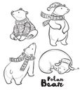 Vector outline set with polar bears Royalty Free Stock Photo