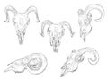 vector outline set of ram skull isolated on white background Royalty Free Stock Photo