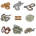 Vector outline set of snakes.