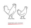 Vector outline silhouette rooster and chicken.