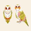 Vector owl characters set. Cute forest bird illustration isolated on beige background. Autumn halloween season Royalty Free Stock Photo