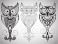 Vector Owls