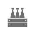 Vector pack of beer bottles grey icon.