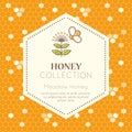 Vector packaging design - natural honey collection