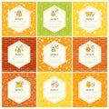 Vector packaging design - natural honey collection