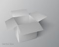 White gray open lid packaging box on isolated white background. Royalty Free Stock Photo