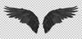 Vector pair of black realistic wings on transparent background