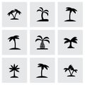 Vector palm icon set Royalty Free Stock Photo