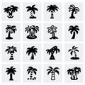 Vector Palm icon set Royalty Free Stock Photo
