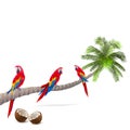 Vector Palm Tree with Parrots Royalty Free Stock Photo