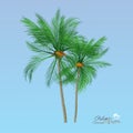 Summer tree palm icon vector illustration. Royalty Free Stock Photo