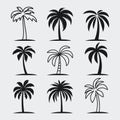 Vector Palm Trees, Palm Tree Icon Set Isolated. Palm Silhouettes. Design Template for Tropical, Vacation, Beach, Summer