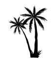 Vector palms isolated on white background. Hand drawn illustration of tropical summer trees