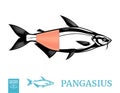 Vector pangasius fish illustration with fillet Royalty Free Stock Photo