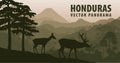 Vector panorama of Honduras with jungle raimforest and white-tailed deers