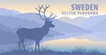 Vector panorama of Sweden with raindeer