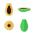 Vector papaya exotic fruit set in flat style with seeds isolated