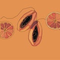 Vector papaya is isolated on a bright orange background illustration line art