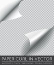 Vector Paper Page Curl with Shadow Isolated.