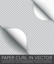 Vector Paper Page Curl with Shadow Isolated. Royalty Free Stock Photo