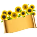 Vector Paper Placard with Sunflowers