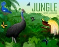 Vector Papua New Guinea jungle forest with victoria crowned pigeon, cassowary, Lesser Bird of Paradise