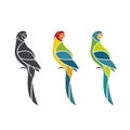 Vector of parrot design on white background. Easy editable layered vector illustration. Birds. Animals