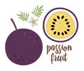 Vector passion fruit clip art. Jungle fruit illustration. Hand drawn flat exotic plants isolated on white background. Bright