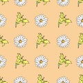 Vector pastel orange background white yellow lemony floral seamless pattern. Daisies, Lilies. Seamless pattern