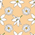 Vector pastel orange background white yellow lemony floral seamless pattern. Daisies, Lilies. Seamless pattern