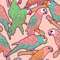 Vector Pastel Parrots Birds Seamless Pattern, Pink & Turquoise