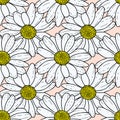 Vector pastel pink beige background pink daisy flowers and wild flowers. Seamless pattern background Royalty Free Stock Photo