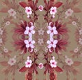 Vector pattern apricot flowers