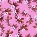 Vector pattern apricot flowers