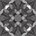 Vector pattern with black graphic lines, kaleidoscope abstract b