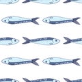 Vector Pattern of blue sardines. Seamless pattern of a hand-drawn sketch of small SARDINE fish, blue-gray color with a blue Royalty Free Stock Photo