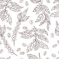 Vector pattern with coffee plants and beans. Sketch illustration