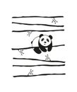 Vector pattern cute little Panda bear hanging on a branch on striped background.Typography for abstract printing T-shirts