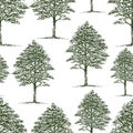 Seamless background of drawn deciduous trees