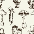 Seamless background of the poisonous mushrooms