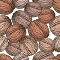 Seamless background of the ripe walnuts